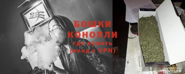 PSILOCYBIN Богданович