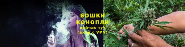 mdpv Белокуриха
