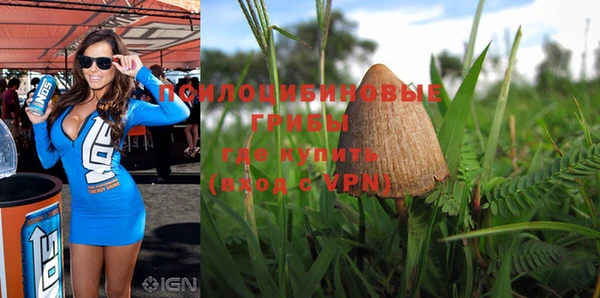 ALPHA-PVP Богородск