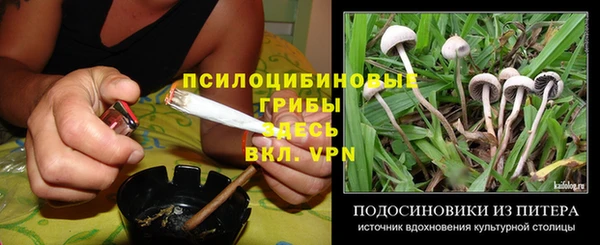 ALPHA-PVP Богородск