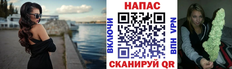 Канабис сатива  купить   Коммунар 